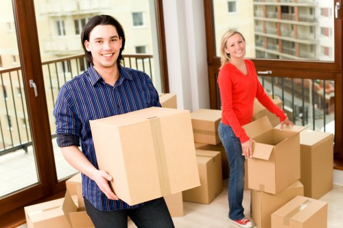 Eco-friendly Man and Van moving services in Brixton